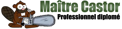 maître castor
